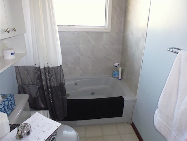 bathroom before reno photo 2